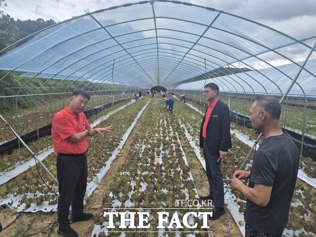 허창덕 금산군 부군수(왼쪽)가 외국인 계절근로자가 근무하고 있는 농가를 찾아 현장 점검을 하고 있다. /금산군
