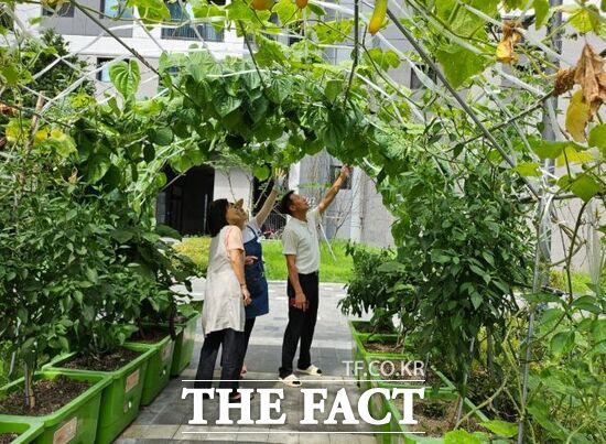 도시농업 전문가 과정을 이수한 양주시 도시농업 매니저가 상자텃밭을 지원받은 양주시 한 아파트를 찾아 작물 재배 기술 및 병해충 관리 등에 대해 설명하고 있다. /양주시