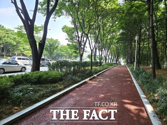 경기 고양시의 미세먼지 저감 도시 숲 사업을 통해 조성된 고양시 일산동구 백마로 모습 /고양시