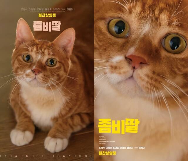 좀비딸의 마스코트 애용이의 캐릭터 포스터가 공개됐다. /NEW
