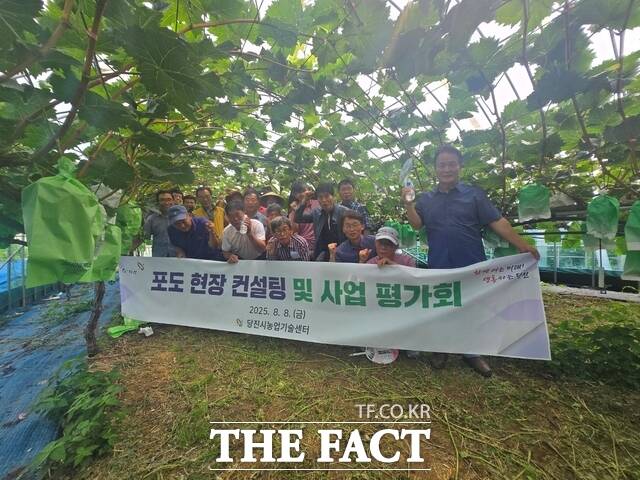 당진시농업기술센터는 8일 포도 재배 농가 30여 명이 참석한 가운데 고품질 포도 생산을 위한 현장 컨설팅 및 사업 평가회를 진행했다. /당진시