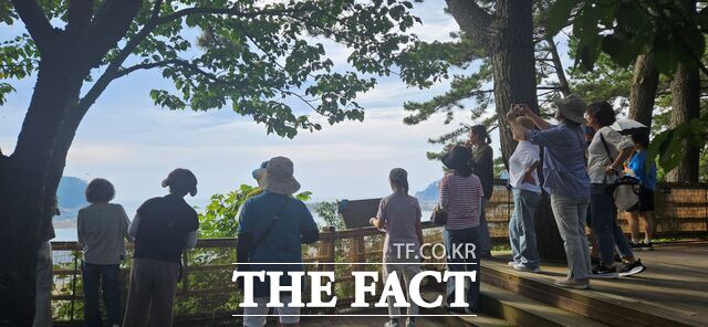 충남도교육청 소속 교원들이 여름방학 기간 중 치유캠프에 참여해 숲속을 산책하고 있다. /충남교육청