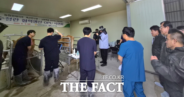 8일 농협경제지주 축산경제가 남원축협 한우암소개량센터에서 한우 우량암소 OPU 수정란 생산 공급을 위한 첫걸음을 내딛었다. /전북농협