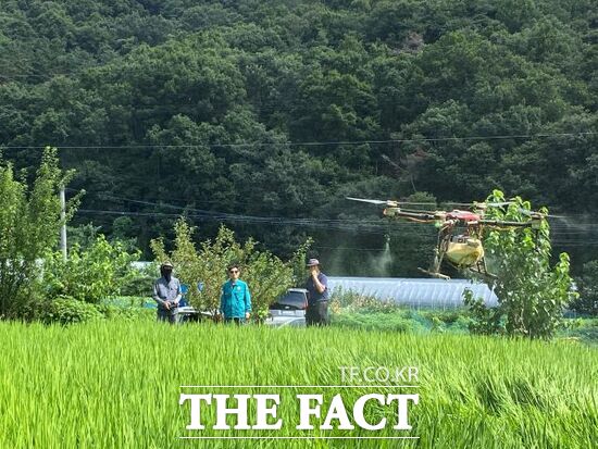 경기 남양주시 관계자들이 지난 7일 여름철 병해충 확산 방지를 위해 지역 내 벼 재배지에서 2차 항공방제를 진행하고 있다./남양주시