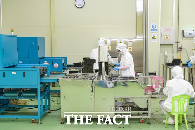 목포시에 위치한 김공장에서 김이 생산되고 있다. /목포시