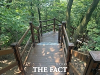  용인시 처인구, 정광산~벌덕산 노선 등산로 정비