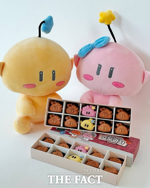 꿈돌이 호두과자 실물./대전시