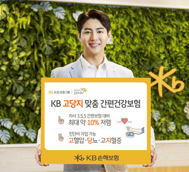 KB손해보험이KB 고당지 맞춤 간편건강보험을 출시했다. /KB손해보험