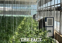  전남도, 시설하우스 폭염 피해 막는 '냉방·차광시설' 지원