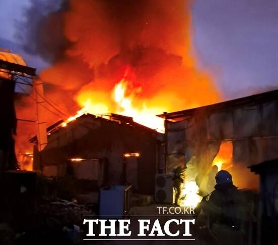 12일 오전 4시 50분쯤 발생한 경기 포천시 이동면의 한 양계장 화재 현장에서 소방관들이 화마와 사투를 벌이고 있다./경기북부소방재난본부