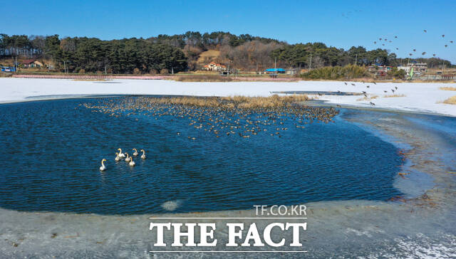 당진시 당산저수지 전경. /당진시