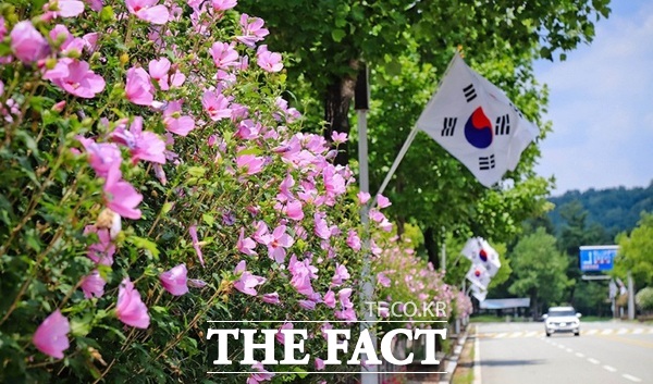 국립대전현충원에 조성된 무궁화길./대전시