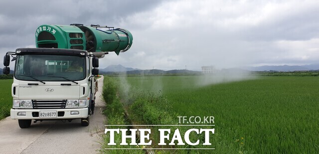 강진군이 해충 방제기로 방역을 하고 있다./강진군