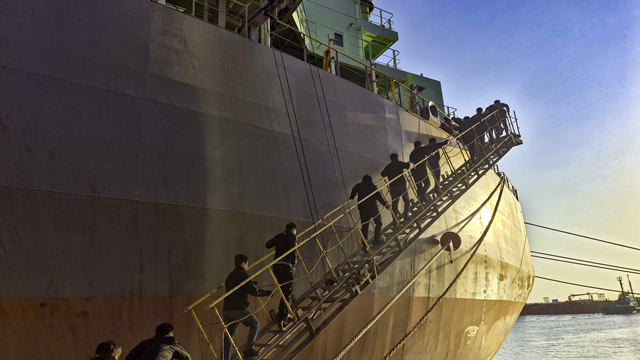 정부는 13일 범정부 합동 마약류 특별단속(4~6월)을 추진한 결과 마약류 2676.8㎏를 압수했다고 밝혔다. 사진은 지난 4월 강릉 옥계항에 입항한 노르웨이 선적을 관계 기관이 합동 수색하고 있는 모습. 해당 선박에서는 역대 최대 규모인 약 1.7톤의 코카인이 적발됐다. /총리실