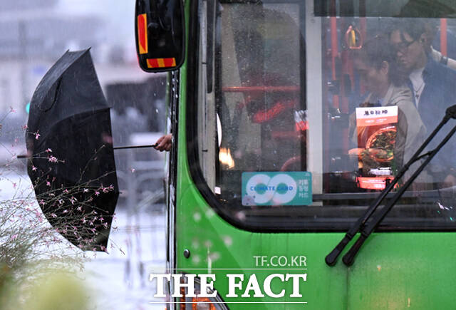 일본군 위안부 피해자 기림의 날이자 목요일인 14일은 중부지방을 중심으로 매우 강하고 많은 비가 내리겠다. 수도권은 이날 새벽까지 시간당 30~70㎜의 강한 비가 내리는 곳이 있을 것으로 예보됐다. 사진은 지난 13일 오전 서울 광화문 일대 버스에서 내리려는 시민이 우산을 펼치고 있는 모습./이새롬 기자