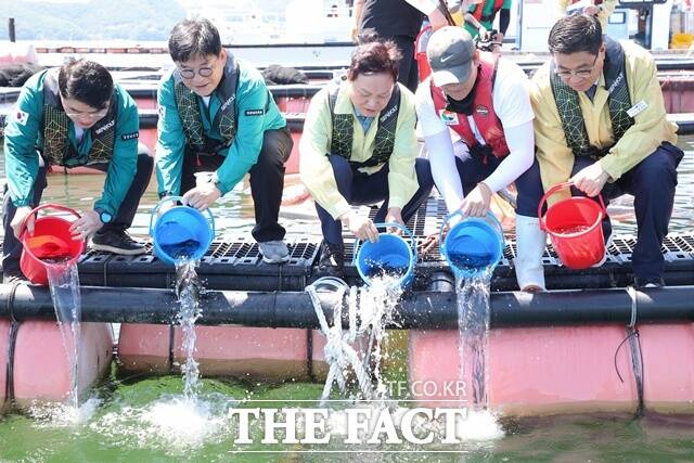 박완수(가운데) 경남도지사가 14일 거제시 해상 가두리 양식장을 찾아 고수온 취약 어종 긴급 방류를 하고 있다./경남도
