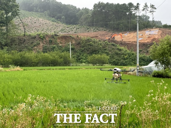 드론 활용 벼 병헤충 방제 모습./계룡시