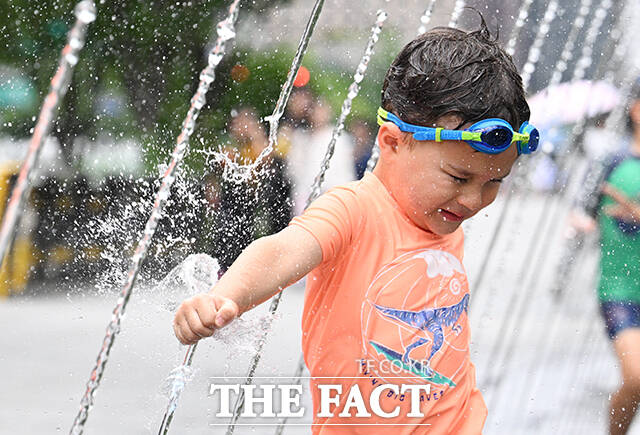 광복절 연휴 마지막 날인 17일에도 무더위가 이어지는 가운데 경기·인천·강원 지역을 중심으로 비가 내리겠다. /박헌우 기자