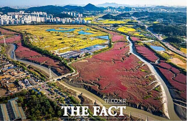 소래습지 생태공원 전경/인천시