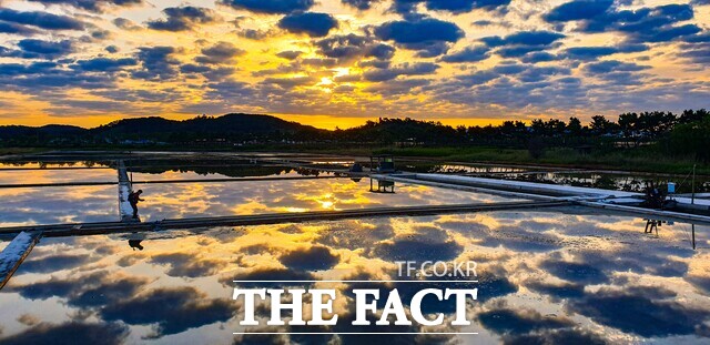 소래습지 생태공원 염전 /인천시