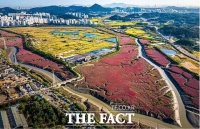  인천시, 소래습지 국가도시공원 지정 위한 절차 속도
