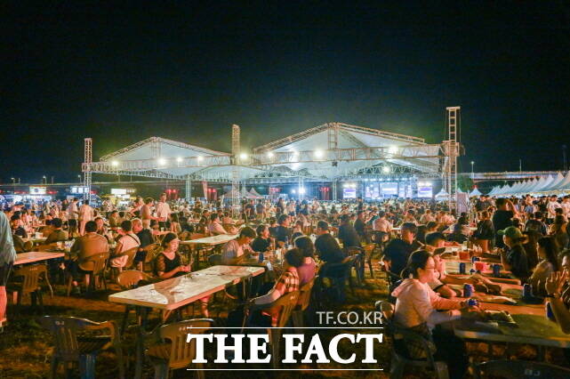 공주시가 지난 15~17일 3일간 공주 금강신관공원에서 제1회 공주야(夜)밤 맥주축제를 열어 여름밤의 추억을 선사했다. /공주시