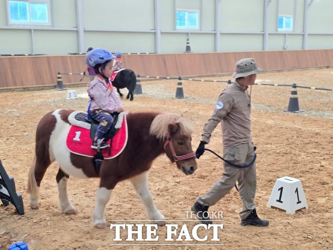 어린이 말 체험 /경기도