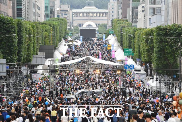 대규모 야외 페스티벌이나 공연과 관련한 명확한 법령이 존재하지 않아 공연업계와 관람객·지역주민의 불편이 가중되고 있다.(사진은 기사내용과 무관)/더팩트DB