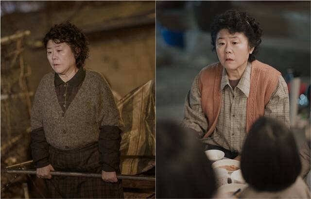 JTBC 새 토일드라마 백번의 추억에 특별 출연하는 배우 이정은의 캐릭터 스틸이 공개됐다. /SLL