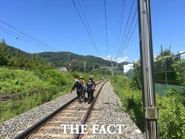 이재명 정부의 중대재해 근절 강조에도 불구하고 19일 경북 청도에서 철로 점검 중이던 노동자 2명이 무궁화호 열차에 치여 숨지는 사고가 발생했다. /뉴시스