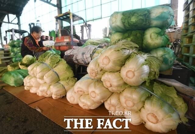 19일 한국농수산식품유통공사에 따르면 지난 18일 기준 배추 평균 소매가격은 7062원으로 집계됐다. /더팩트 DB