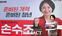  손수조 