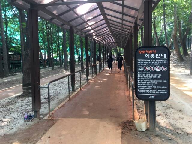 서초구 길마중길이 넓은 산책로와 순환형 맨발길, 계단과 턱이 없는 무장애길로 재탄생해 주민 곁으로 돌아왔다. 길마중 초록숲길. /서초구