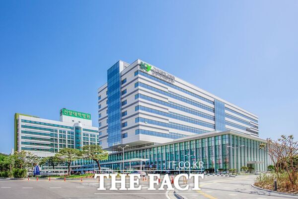 건양대학교병원 전경 /건양대병원