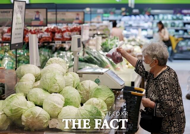지난달 국내 생산자물가지수가 120.20으로 전월(119.77)으로 지난 6월과 비교해 0.4% 오른 가운데 시금치, 배추 등 농산물 가격이 크게 상승했다. /뉴시스