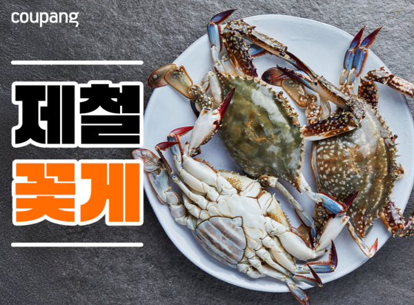 쿠팡 로켓프레시가 22일부터 내달 1일까지 가을 꽃게 기획전을 연다. /쿠팡