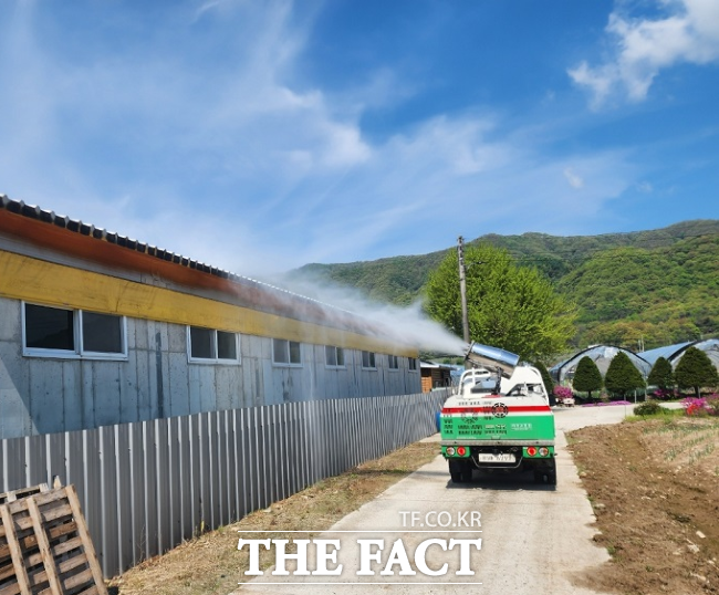 아프리카돼지열병 방역 모습. /경기도