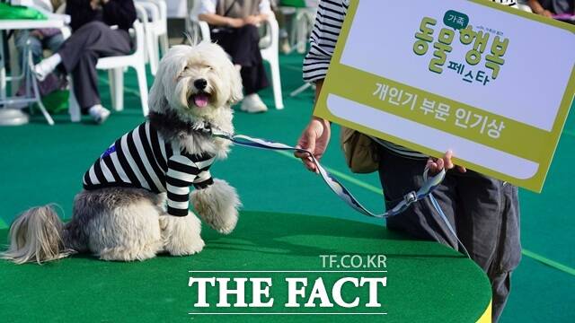 서울시는 오는 10월 18일부터 19일까지 반포한강공원 달빛무지개분수광장에서 ‘2025 제2회 동물행복(동행)페스타’를 개최한다./서울시