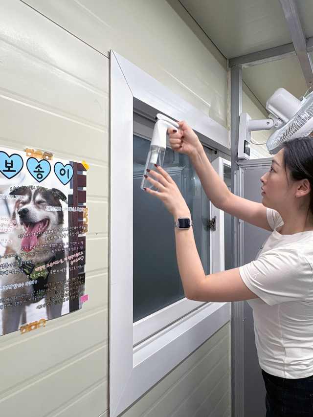 25일 오전 경기 고양 유기동물 보호소 브링미홈에서 에어프레미아 승무원들이 견사 환경 정화활동을 하고 있다. /에어프레미아