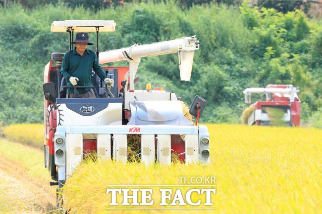 화성시 올해 첫 쌀 수확 /화성시