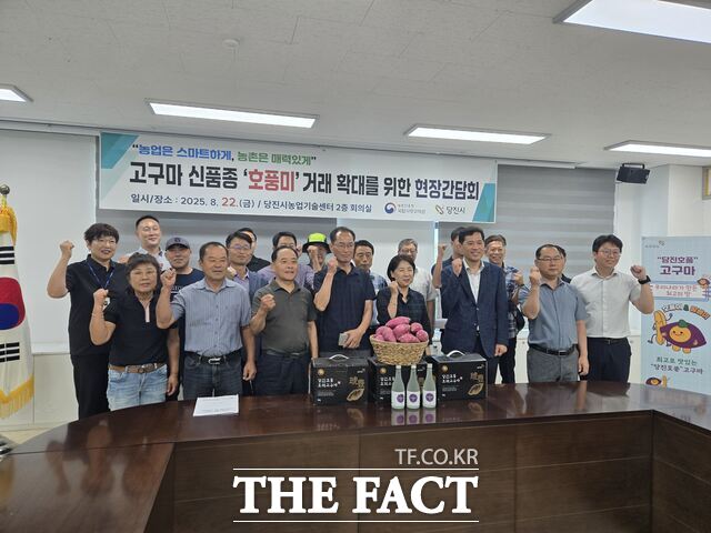 당진시농업기술센터는 22일 농촌진흥청 국립식량과학원과 공동으로 고구마 신품종 ‘호풍미’의 재배 안정화와 도매시장 거래 확대 방안을 모색하기 위한 현장 간담회를 개최했다. /당진시