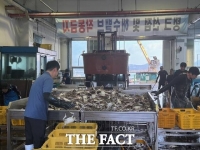  보령 앞바다 '꽃게 풍년'…금어기 해제에 조업 본격화