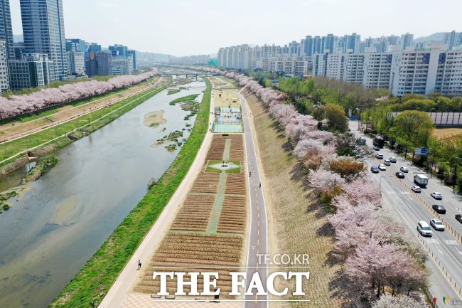 지난 2023년 4월 산림청으로부터 지방정원 조성예정지로 지정된 안양천 전경 /광명시