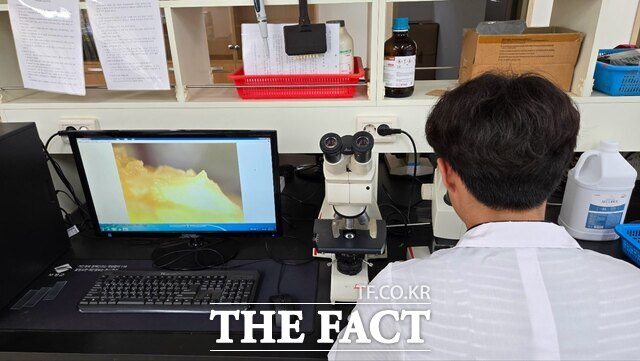 보성군이 딸기 화아분화 검경 서비스를 실시하고 있다./보성군