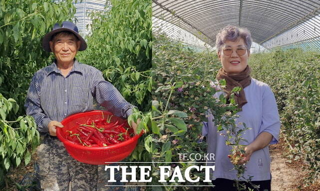 2025년 고추왕·구기자왕에 선정된 이제희(왼쪽)·최정아 씨. /청양군