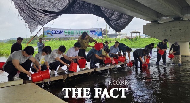 정읍시가 28일 동진천에 토종 어종인 동자개 치어 약 10만 마리를 방류하며 내수면 어족 자원 확충과 수생태계 복원에 속도를 냈다. / 정읍시