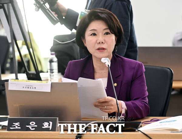 조은희 국민의힘 의원./조은희 의원실