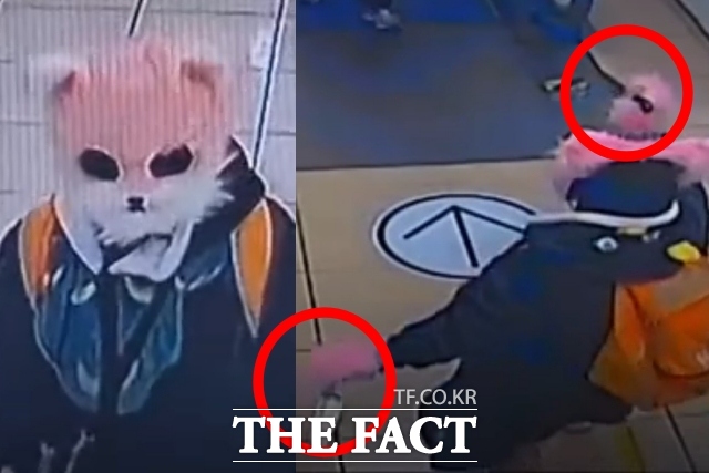 인형탈을 쓰고 마트에서 흉기를 들고 돌아다니다 체포된 20대 여성. /경찰청 유튜브