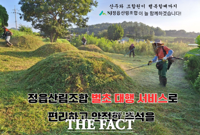 정읍산림조합은 추석을 앞두고 벌초 대행 서비스를 운영한다고 28일 밝혔다. /정읍산림조합