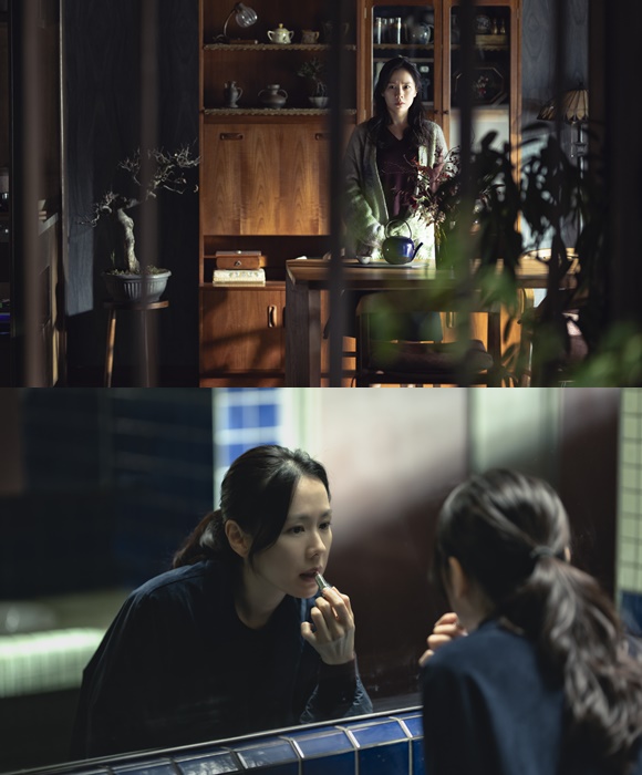 배우 손예진이 어쩔수가없다로 박찬욱 감독의 여성 캐릭터 계보를 잇는다. /CJ ENM